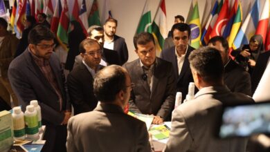 حمایت معاونت علمی از ورود دانش‌بنیان‌ها به بازارهای صادراتی