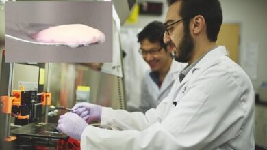 حمایت از پژوهشگران پسادکتری با پرداخت هزینه زندگی ۶ ماهه در اتریش